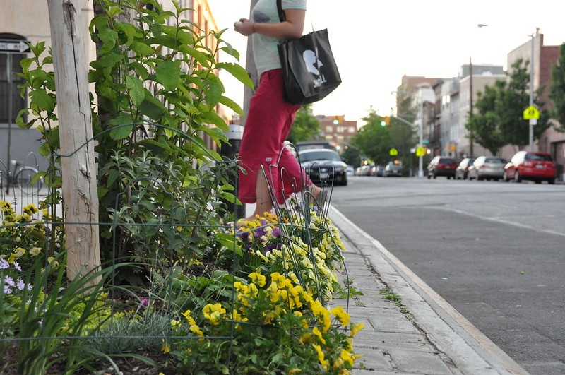 sidewalk-garden