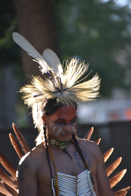 American Indian fancy dancer looks pensive