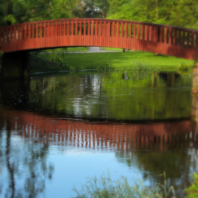 bridge over a lake