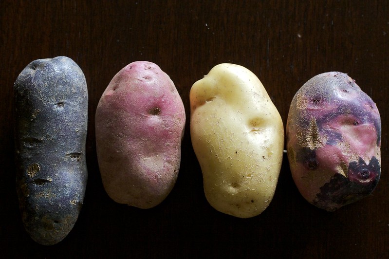illustrates point about diversity of potatoes