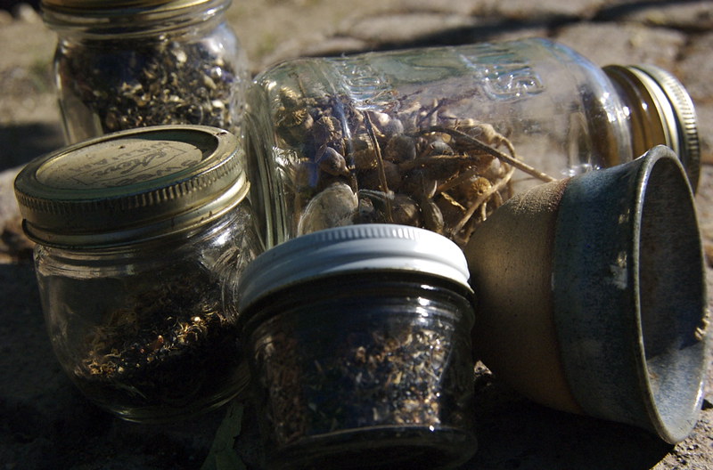 jars of seeds