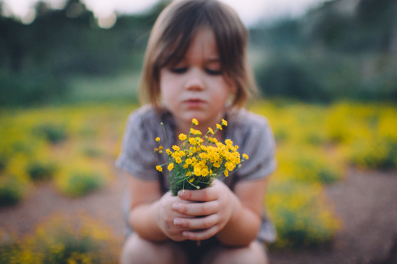 child holding a bunch of wild flowers