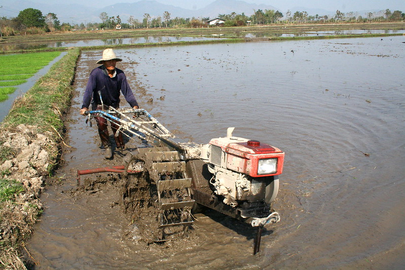modern rice farming using machinery