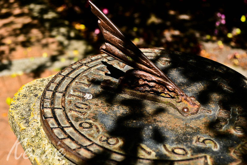 sundial with shadows of leaves 