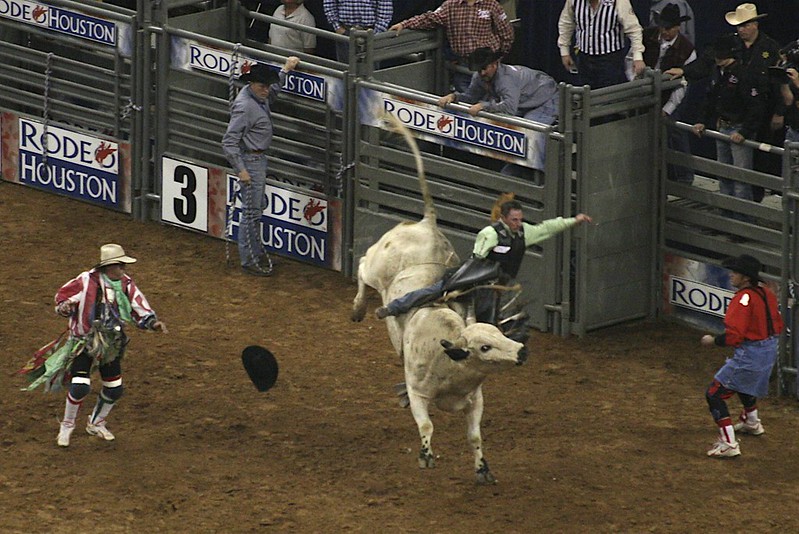 bull-rider getting thrown off his ride