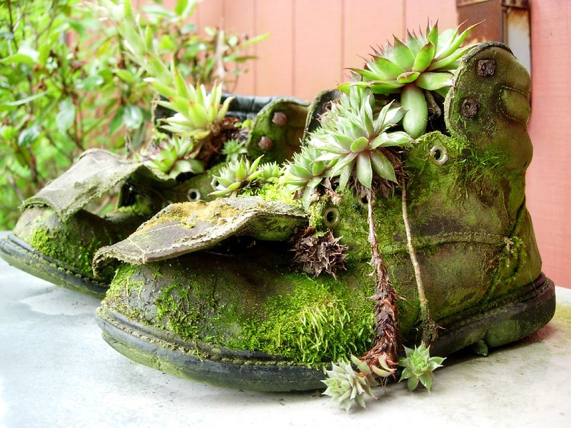 moss-covered work boots used as flowerpots