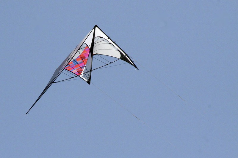 flying delta wing kite