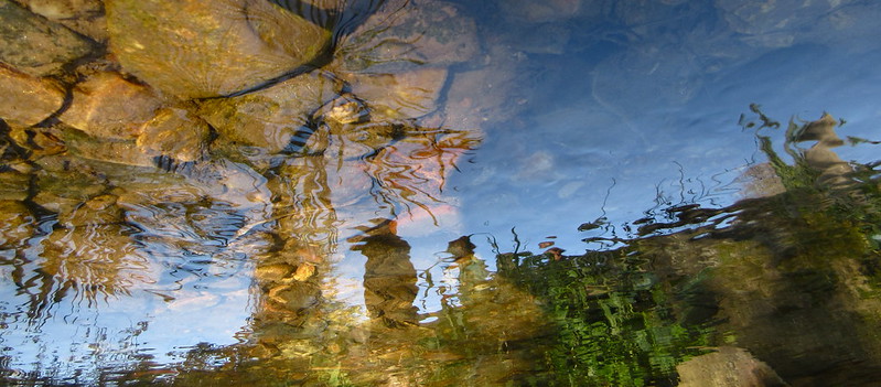 reflections in the river water