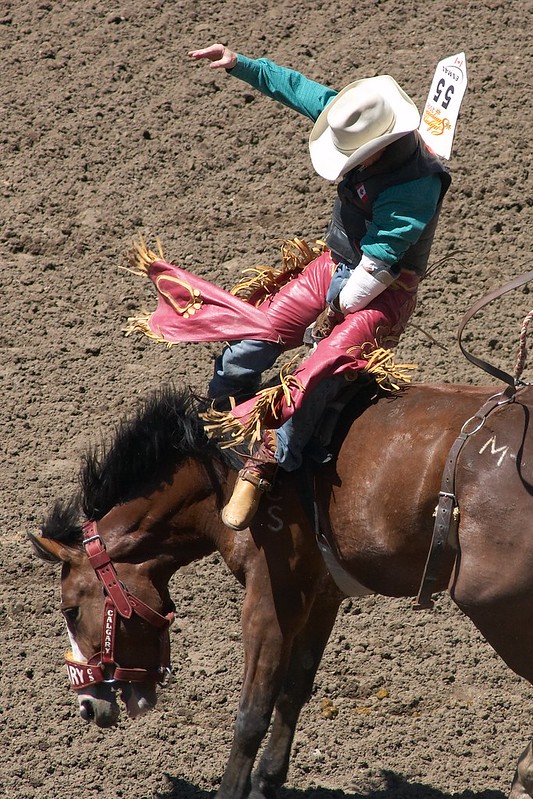 Rodeo cowboy on horse